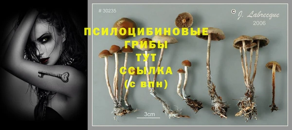 мяу мяу мука Балахна