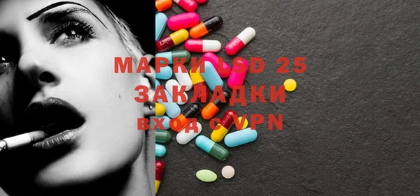 ПСИЛОЦИБИНОВЫЕ ГРИБЫ Баксан