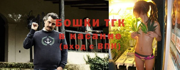ПСИЛОЦИБИНОВЫЕ ГРИБЫ Баксан