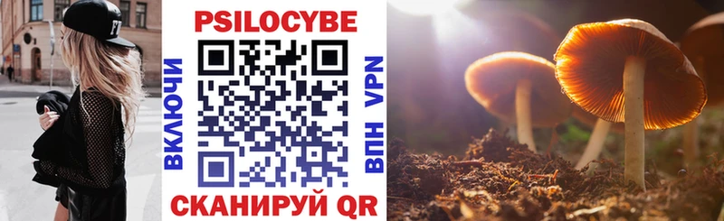 OMG ссылка  Спас-Деменск  Галлюциногенные грибы Cubensis 